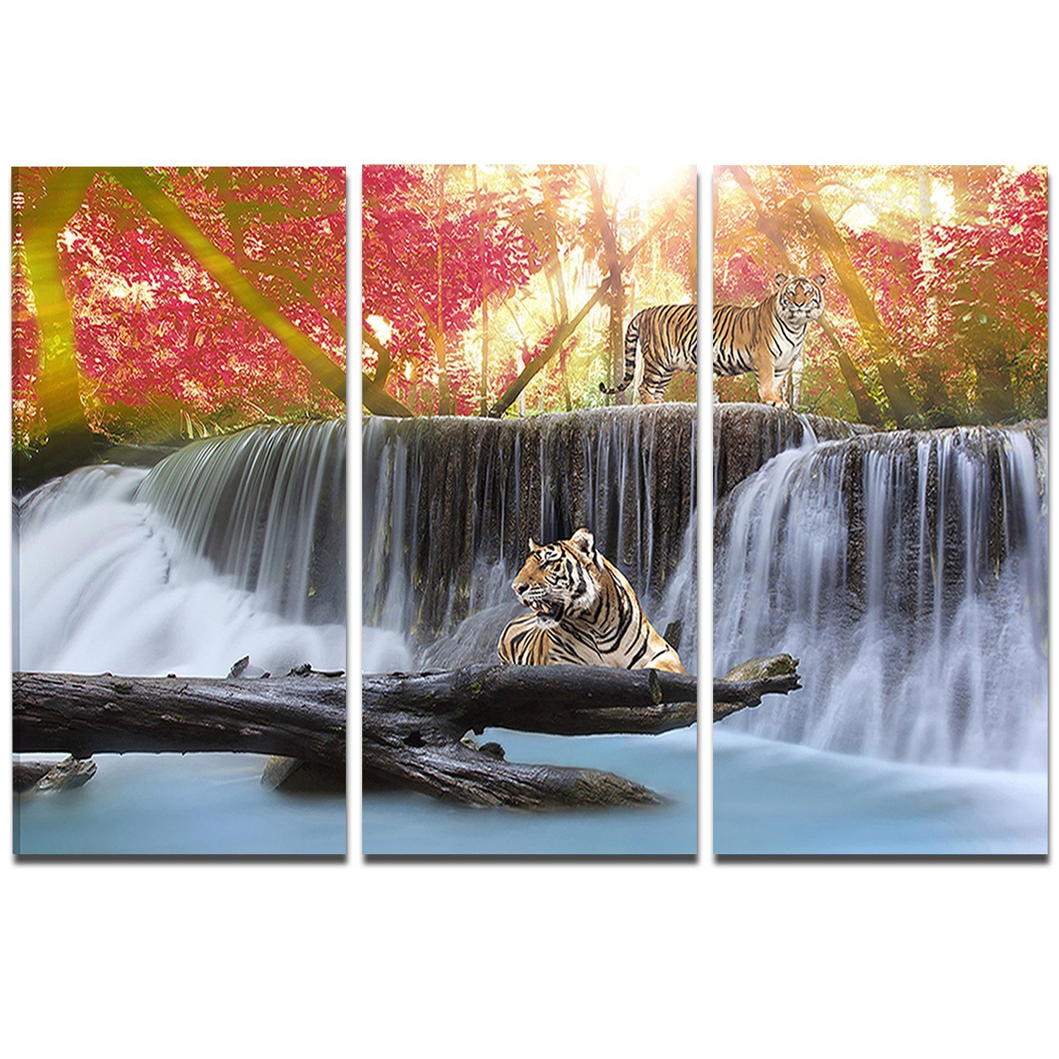 Tiger In The Jungle Metal Wall Art - 3 Panel Wildlife Photography Print - 36x28 Inches - Modern Home & Office Decor - Perfect for Living Room, Bedroom or Office Wall Display