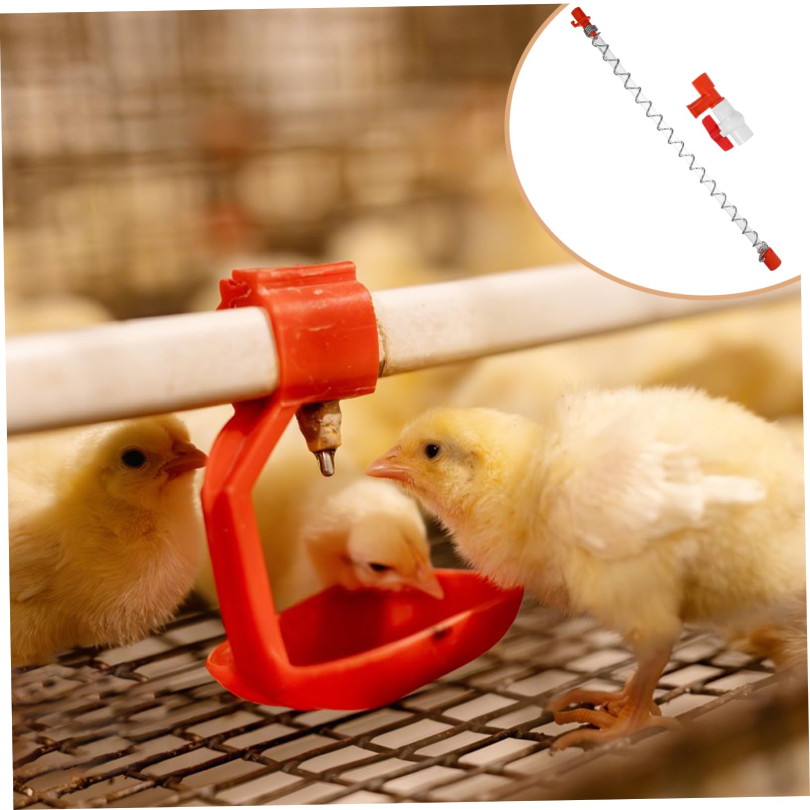 CIYODO Poultry Farm Water System: End Valve Pressure Regulator with Water Level Display & Hose for Efficient Livestock Hydration