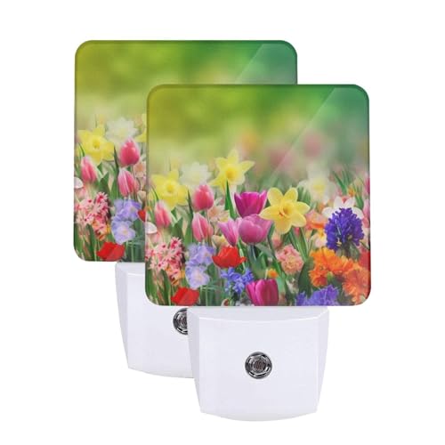 Summer Colorful Flowers