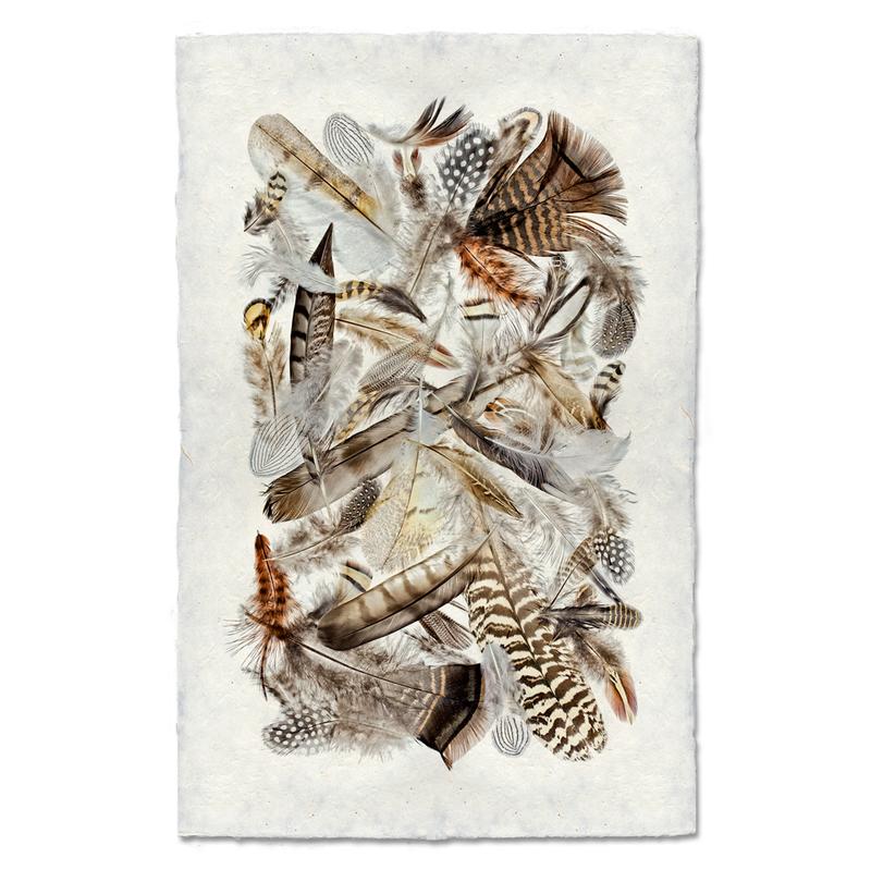 Collective Feathers Art Print - Handmade Wall Decor for Living Room, Bedroom & Office | Unique Home Decor Gift Idea