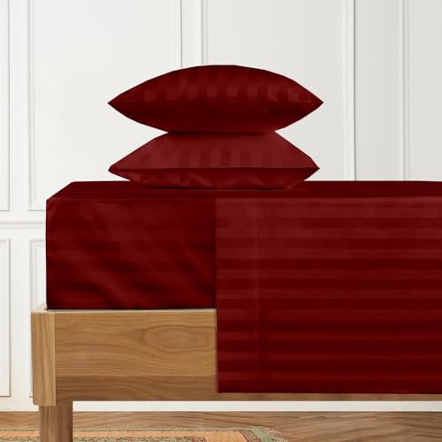 Burgundy Stripe