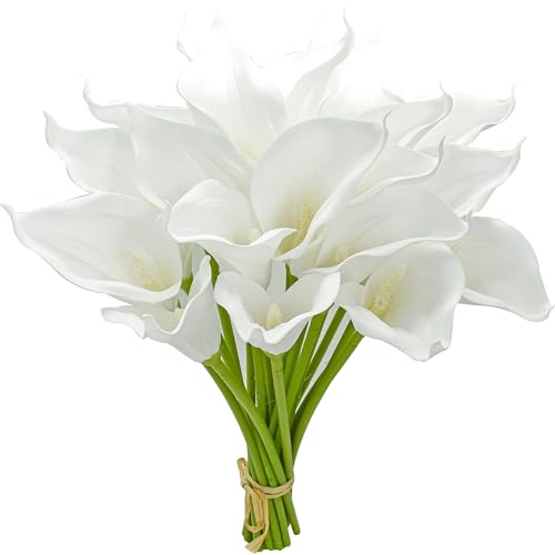 Pure White-1