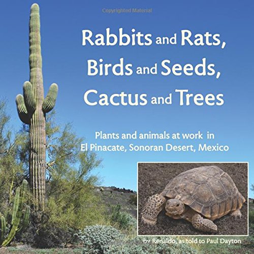 Rabbits, Rats, Birds, Seeds, Cactus and Trees: Plants and Animals in El Pinacate Sonoran Desert | Wildlife Exploration & Desert Ecosystem Study