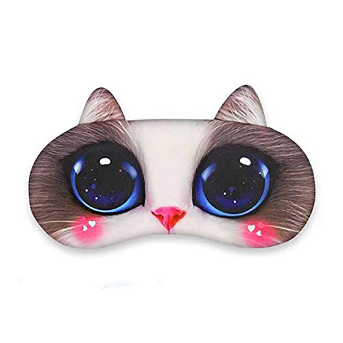 Cat #14