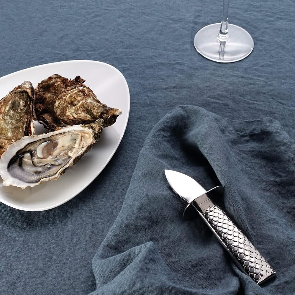 Alessi Colombina Stainless Steel Fish & Oyster Knife - Professional Seafood Shellfish Shucking Tool for Restaurants & Home Kitchens