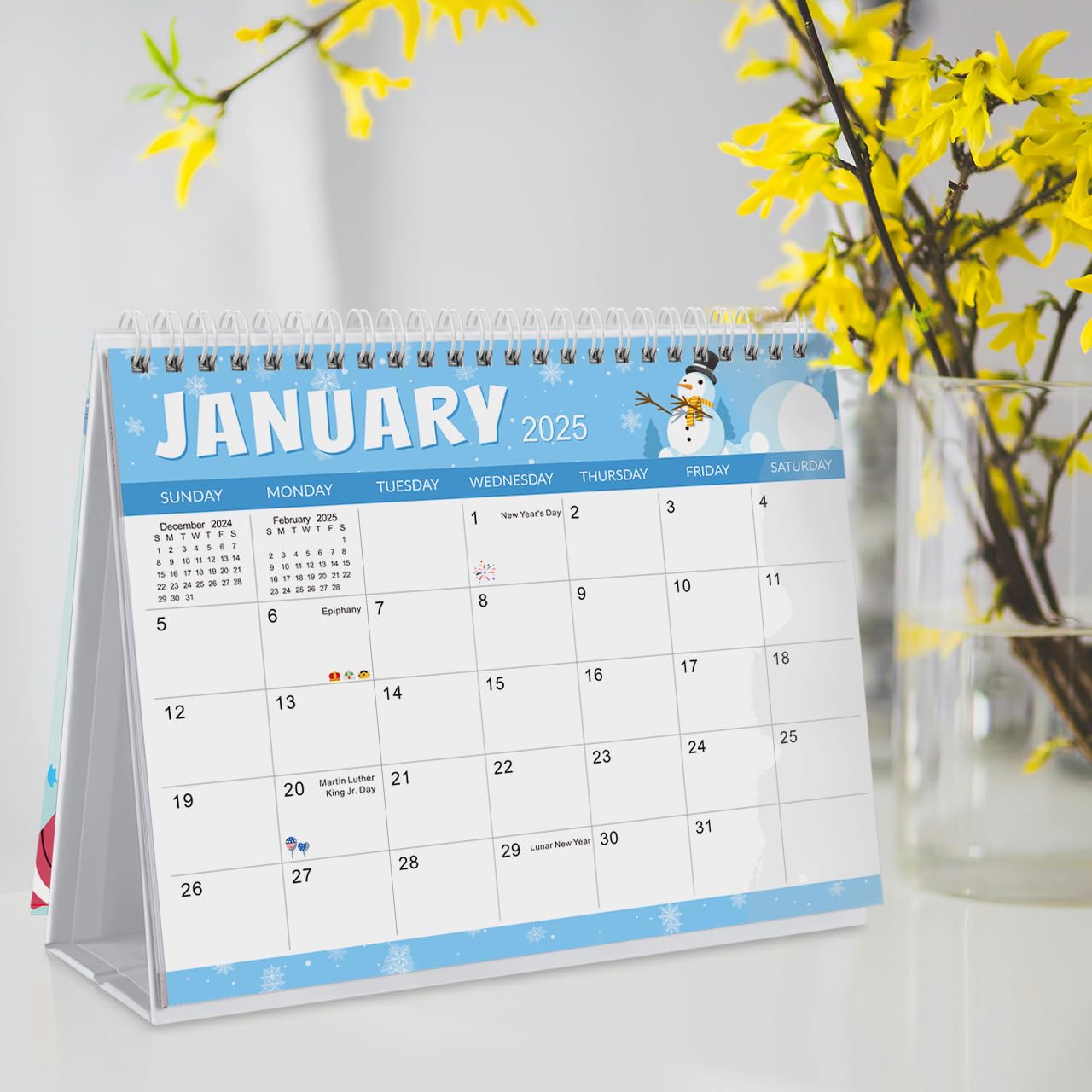 SKYDUE 2025-2026 20-Month Desk Calendar (Nov 2024 - Jun 2026) with Planner Stickers | 8.5