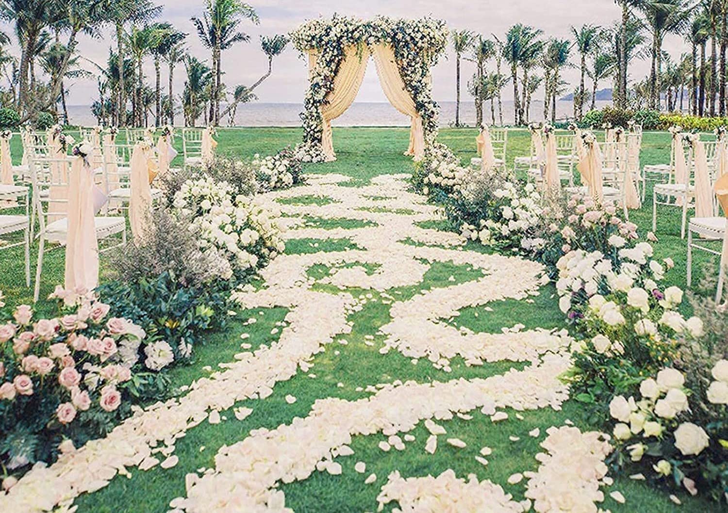 3000pcs Artificial Silk Rose Petals - Cream White Wedding Decorations, Romantic Night & Valentine's Day Party Supplies for Table Scatter, Aisle Decor, Photo Backdrops, and Special Events