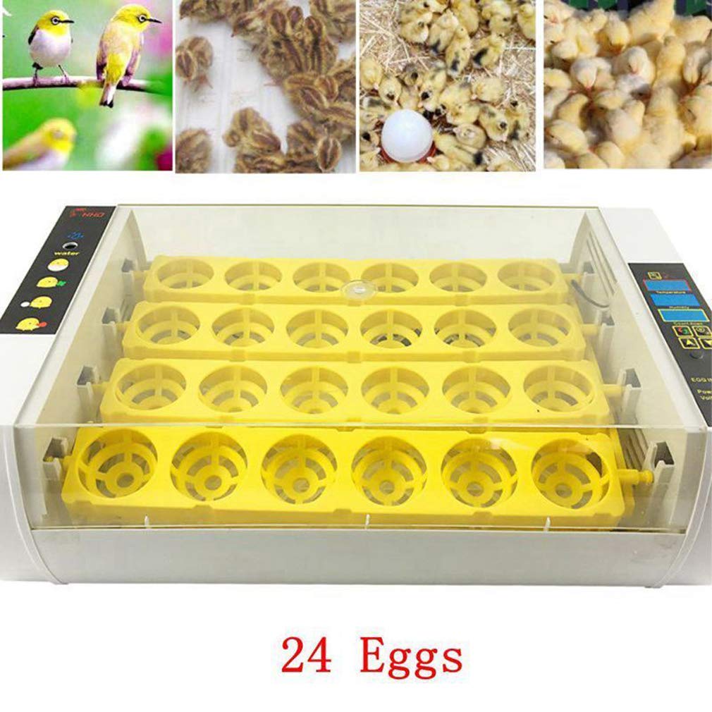 24 Egg Digital Incubator with Automatic Temperature Control - 110V Poultry Hatcher for Chicken, Duck, Goose & Quail Eggs | Perfect for Home Farming, Classroom Projects & Bird Breeding