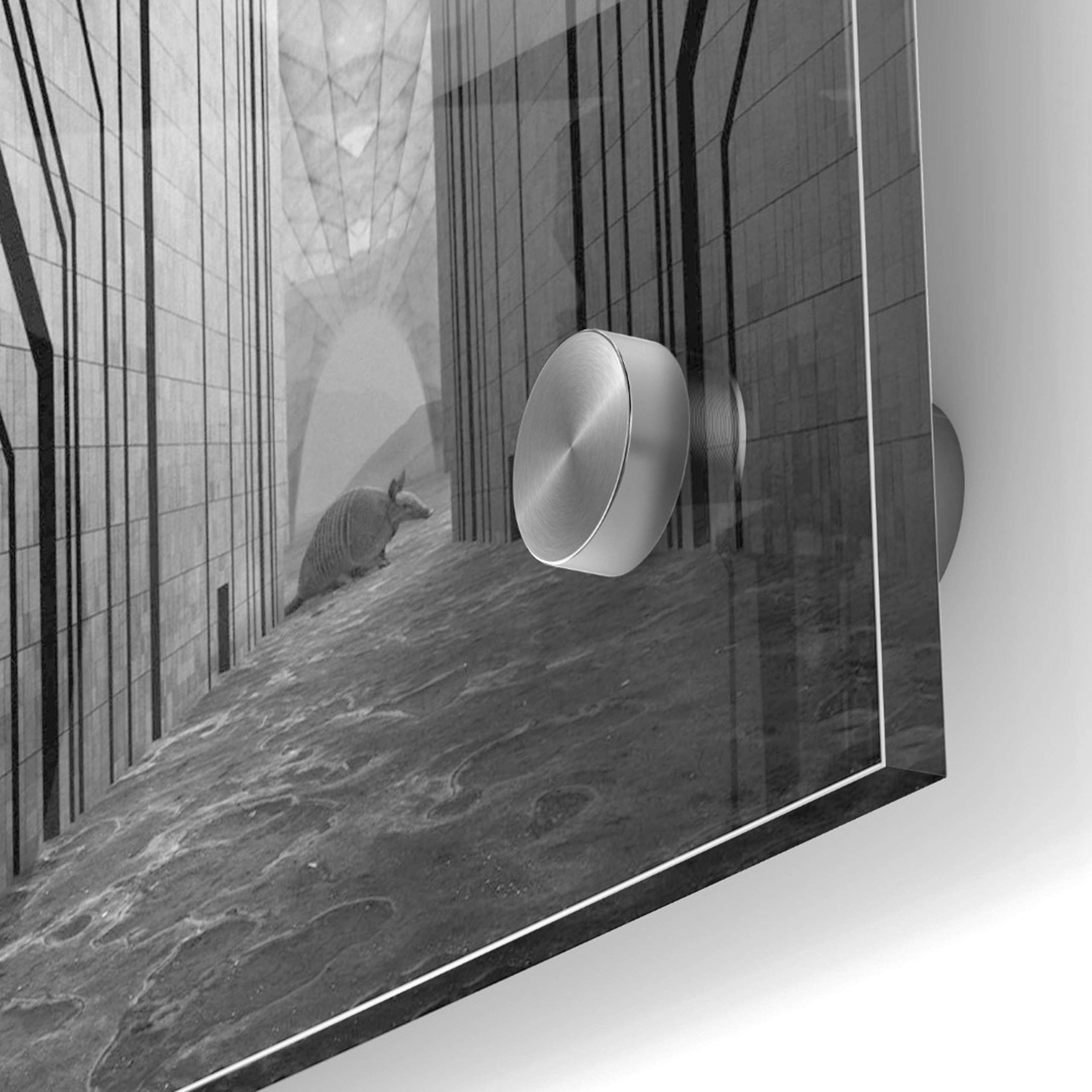 Epic 'Armadillo' Animal Wall Art by Dariusz Klimczak - 24x24 Inch Modern Acrylic Glass Painting - Perfect for Living Room, Bedroom or Office Decor