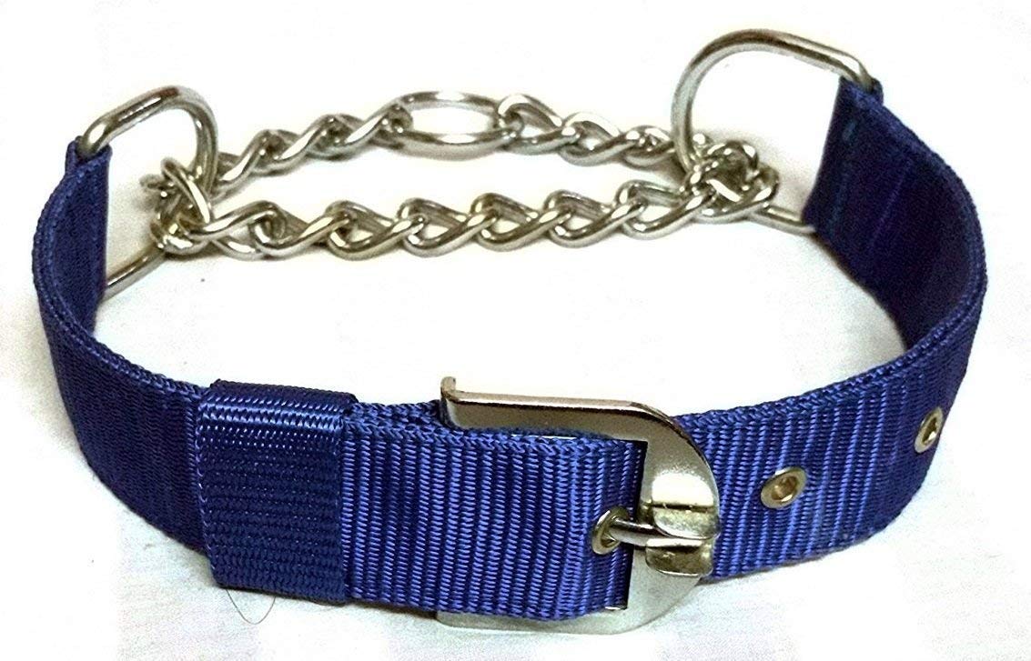 RvPaws Half Chain Dog Collar - Adjustable Nylon Choker with Stainless Steel for Large Dogs (Blue, 1.5 Inch) - Perfect for Training, Walking & Outdoor Adventures