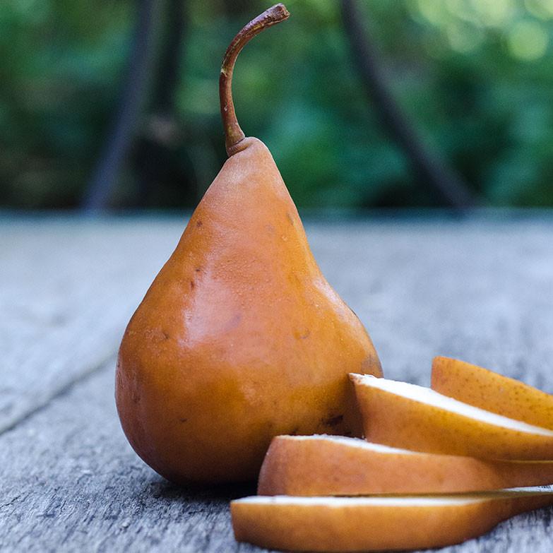 Fresh Organic Bosc Pears - Sweet & Juicy Gourmet Pears for Healthy Snacking, Baking & Fruit Platters - Perfect for Salads, Desserts & Gift Baskets