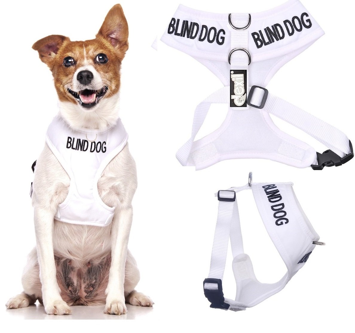 **White Color-Coded Non-Pull Padded Waterproof Vest Harness for Blind Dogs – Front & Back D-Ring Design – Prevents Accidents by Alerting Others – Perfect for Walks, Training & Outdoor Safety (Size S)**