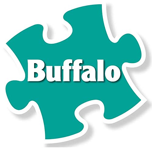 Buffalo Games 1000-Piece Eagle-Eye View Jigsaw Puzzle for Adults & Family Game Night