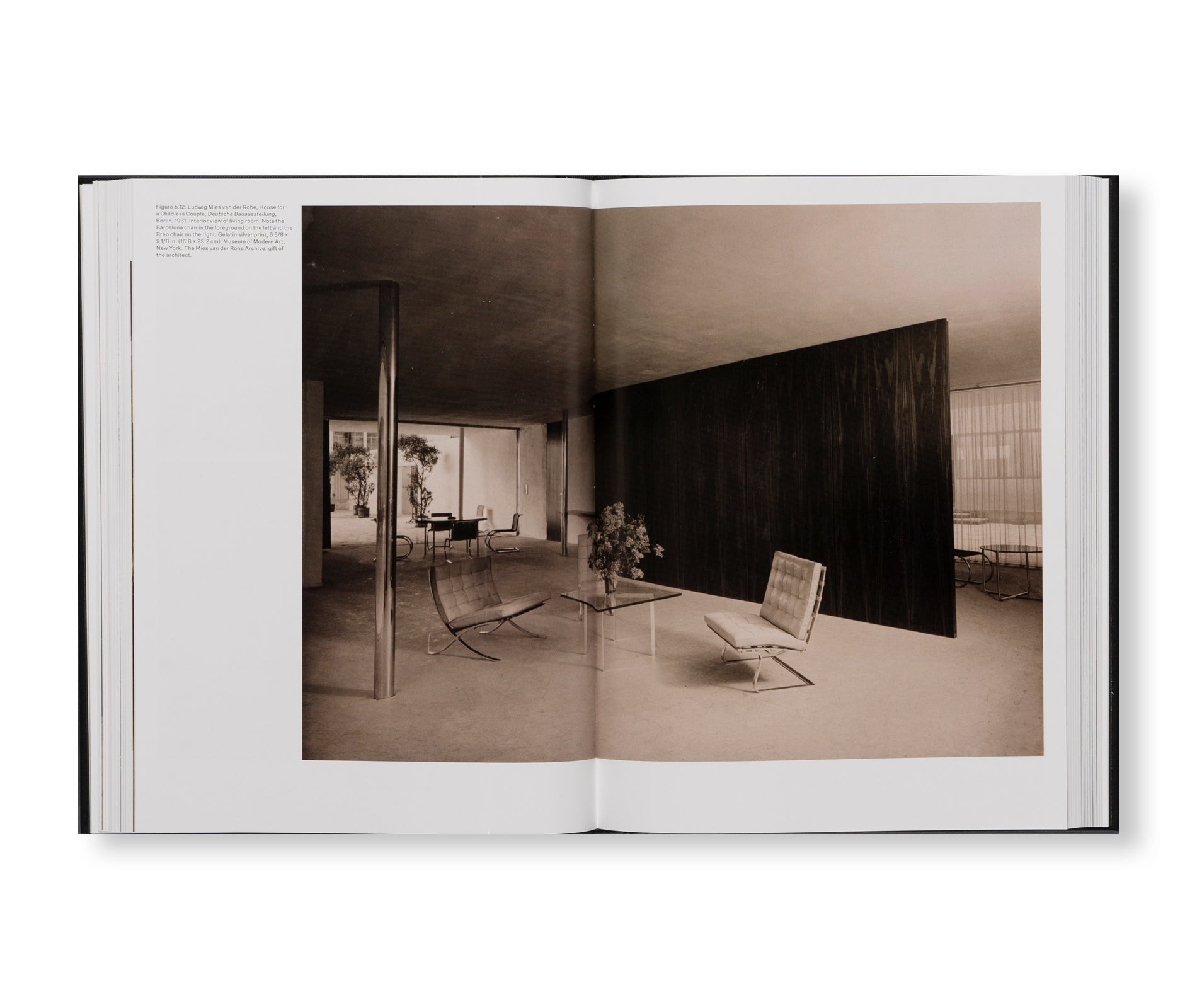 MIES VAN DER ROHE: AN ARCHITECT IN HIS TIME - Biography of Modernist Architect Mies Van Der Rohe | Architecture History Book | Perfect for Architecture Students and Design Enthusiasts