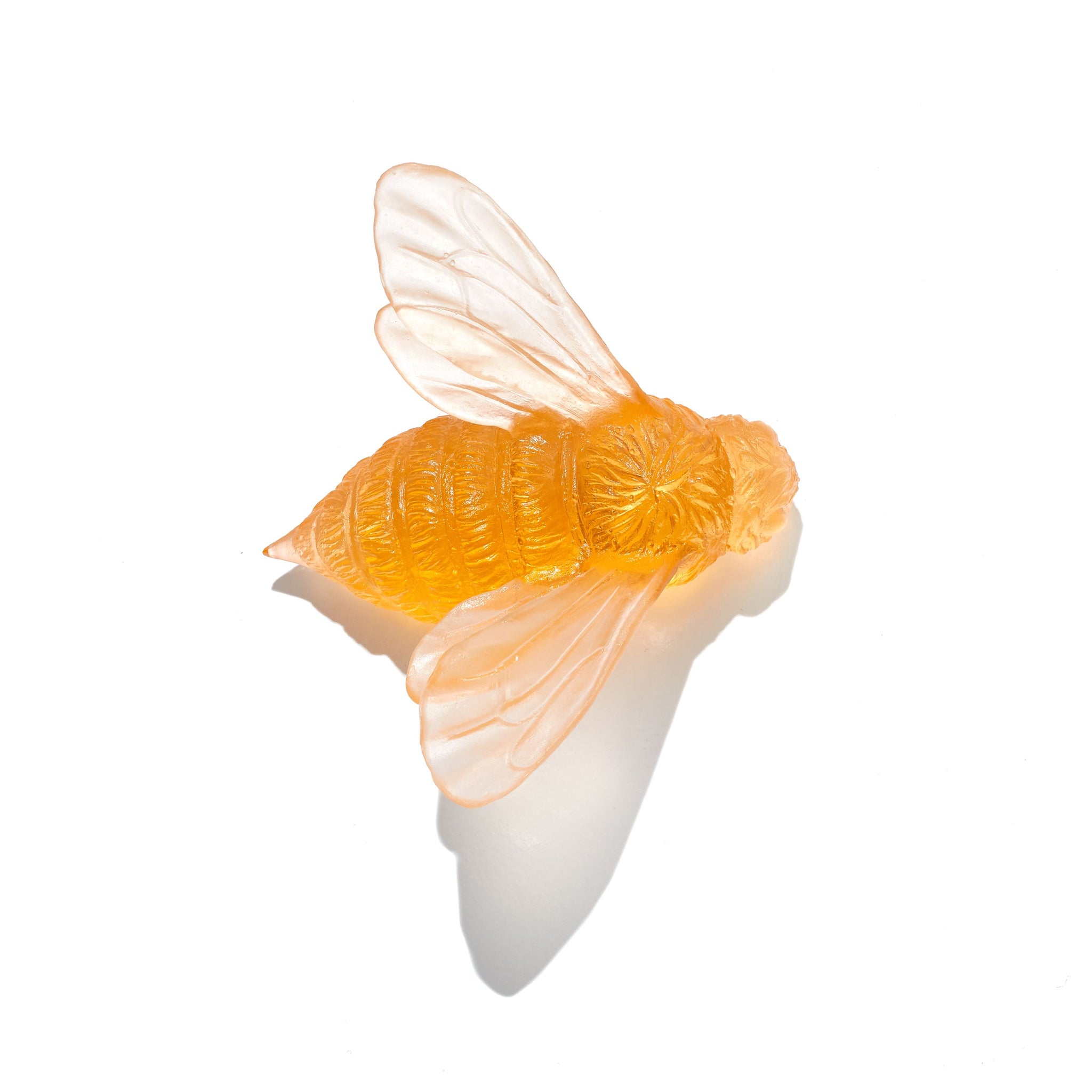 Apricot