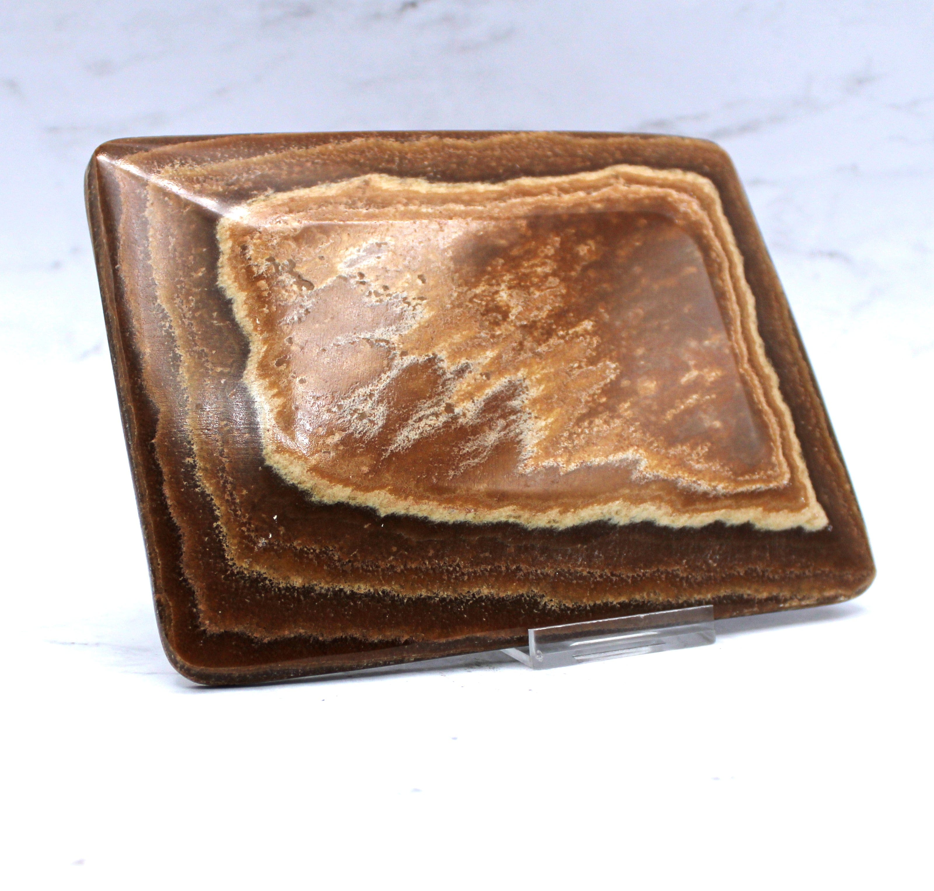 Premium Aragonite Dish 6