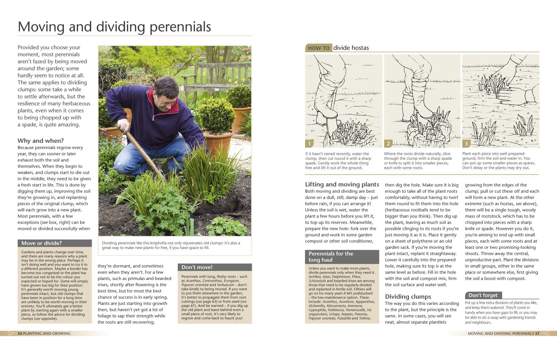 Alan Titchmarsh How to Garden: Perennial Garden Plants Paperback Book - Essential Guide for Flowering Plants Care & Maintenance | Perfect for Home Gardeners & Landscaping Enthusiasts