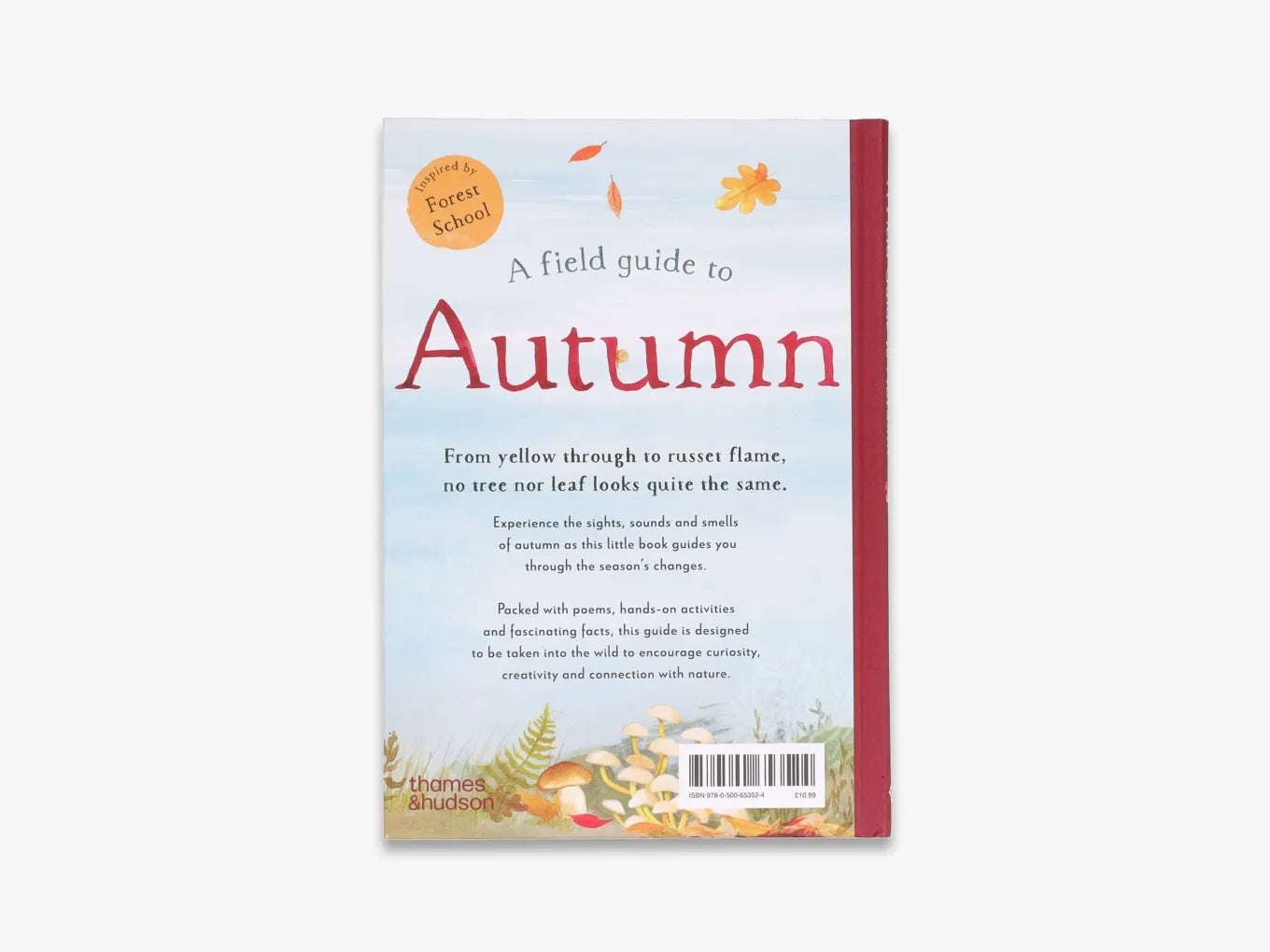 A Field Guide to Autumn - Nature Exploration Book for Fall Hiking & Outdoor Activities | Field Guide Series
