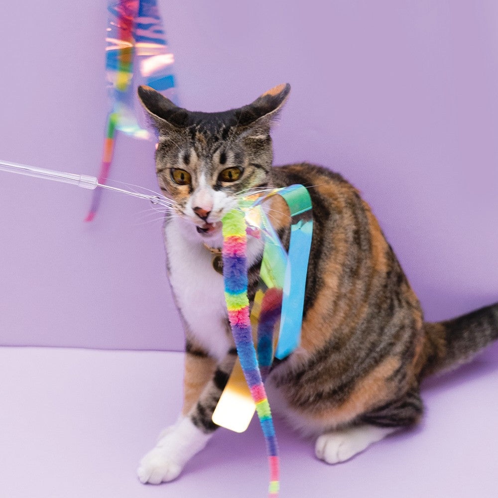 Long Stick Rainbow Snake Cat Teaser Toy - Interactive Wand Toy for Cats with Feathers & Bells - Perfect for Indoor Play & Exercise