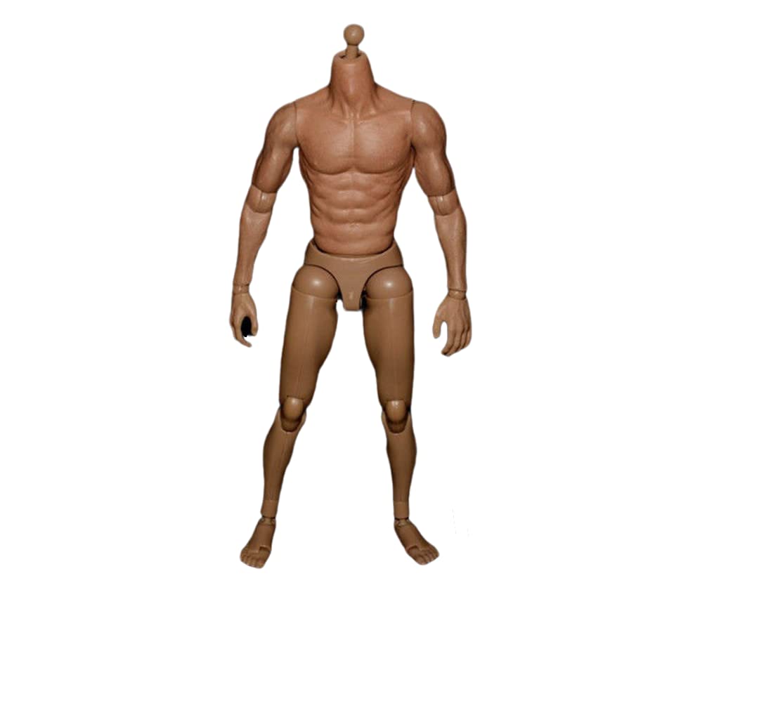 1/6 Scale Male Action Figure Body - 12 Inch Narrow Shoulder Muscular Flexible Collectible Model for Custom Dolls & Diorama Displays