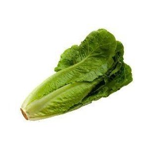 Organic Parris Island Cos Romaine Lettuce Heirloom Seeds - Non-GMO, 2g Packet for Home Gardening, Salads & Healthy Eating