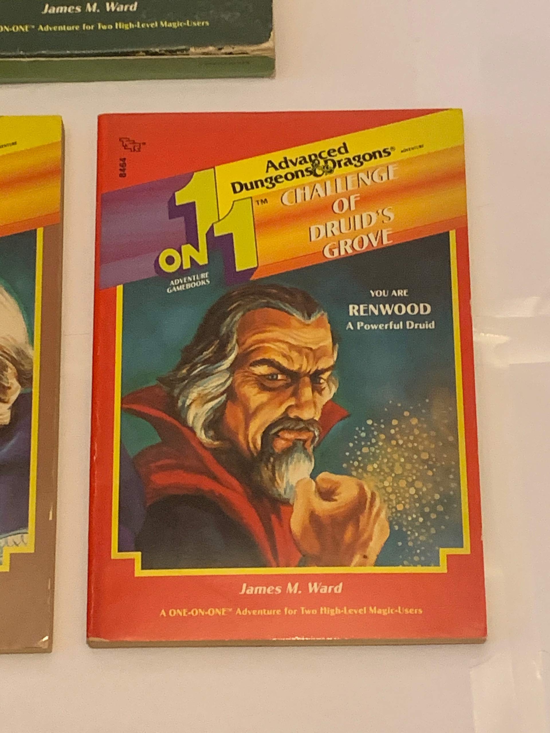 Druid's Grove Adventure Gamebook Set - 2 Book Collection for 1 on 1 Fantasy Roleplaying | Perfect for Tabletop RPG Nights & Solo Gaming
