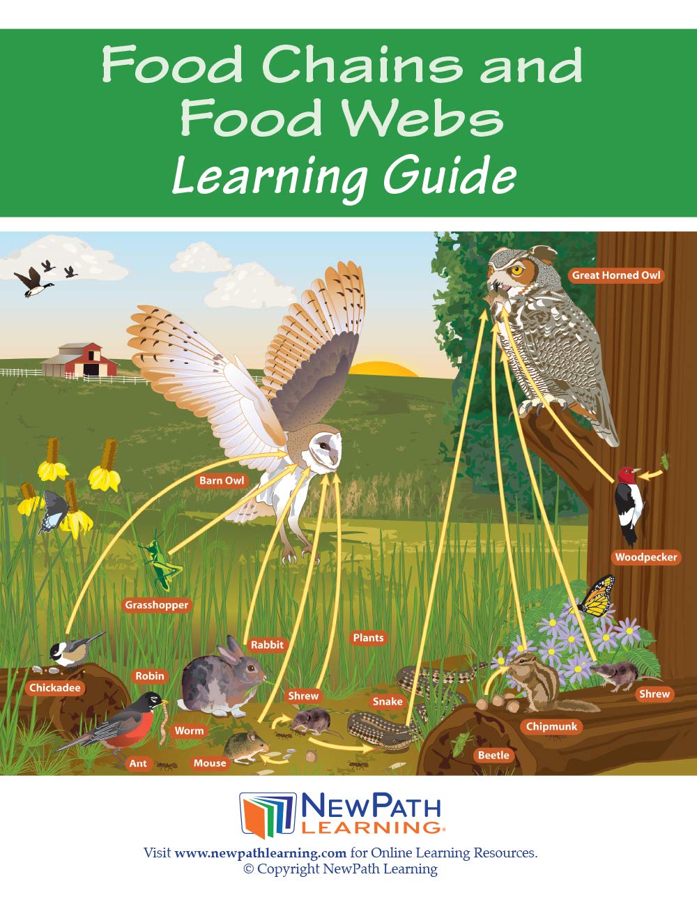 NewPath Learning Food Chains & Food Webs Science Study Guide - Classroom & Homeschool Biology Education Resource for Middle School Students