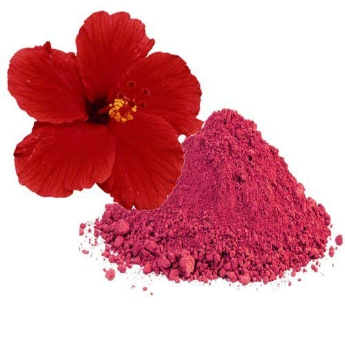 100% Natural Pure Indigo Powder & Herbal Henna with Hibiscus Powder - 100g for Hair Coloring, Conditioning & Gray Coverage | DIY Hair Dye, Natural Hair Care, Ayurvedic Treatment