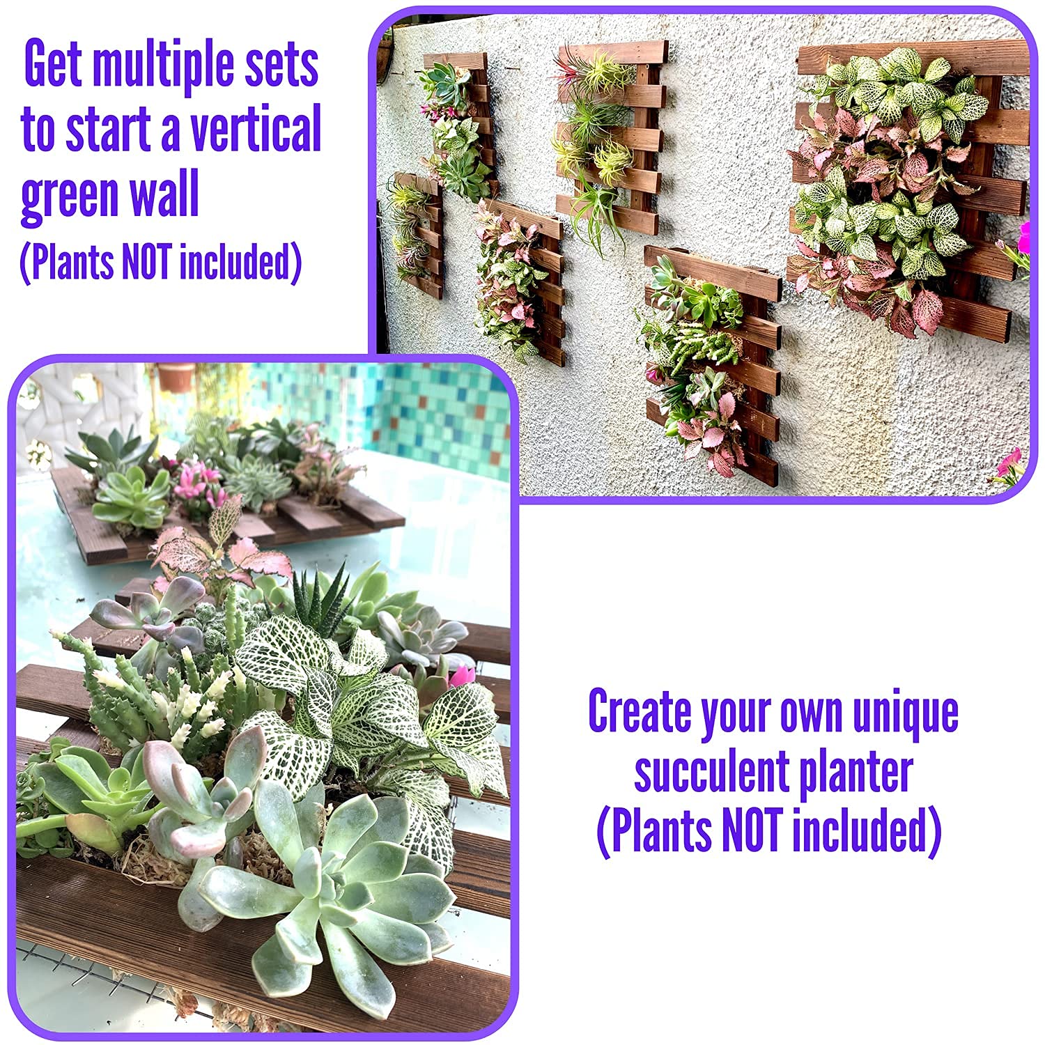 2 Pack Wooden Wall Planter for Orchids, Air Plants & Succulents - 15.7