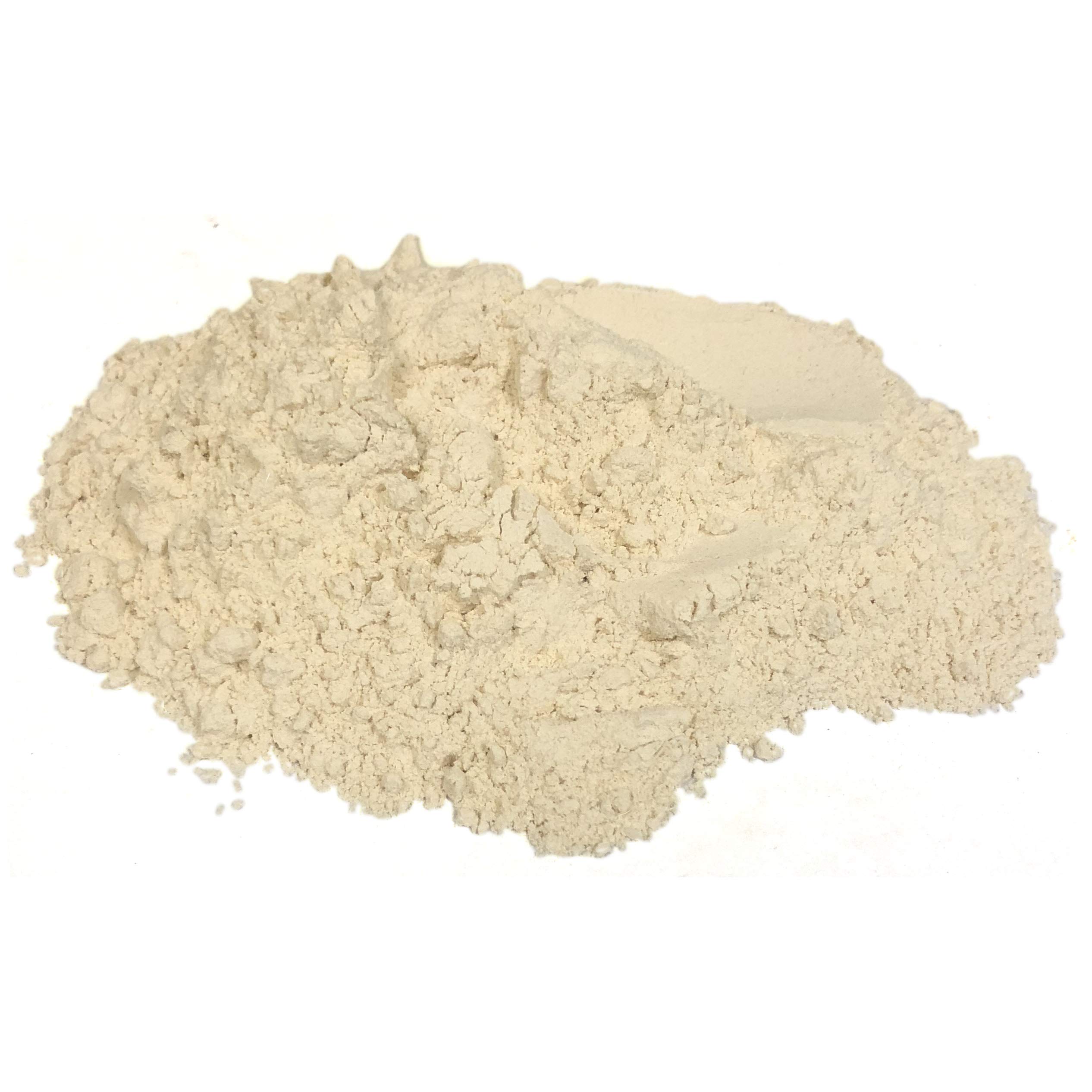 Organic Garlic Bulb Powder 16 oz - Best Botanicals Premium Supplement for Cooking, Seasoning & Immune Support - USDA Certified, Non-GMO, Vegan Friendly - Perfect for Soups, Sauces, and Homemade Seasoning Blends