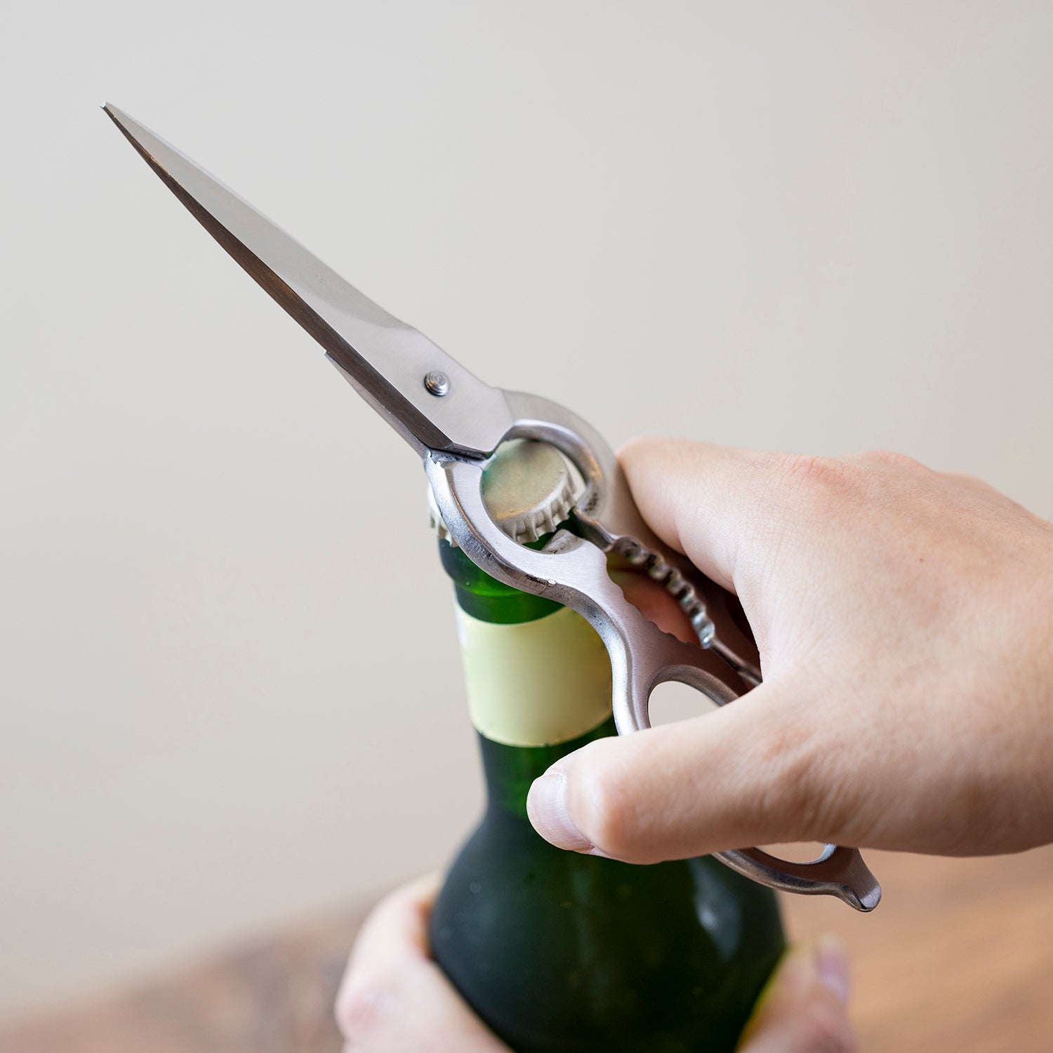 Premium Hayashi Stainless Steel Kitchen Scissors - Heavy Duty Multipurpose Cooking Shears for Cutting Meat, Poultry, Herbs & Vegetables - Perfect for Home Chefs & Professional Kitchens