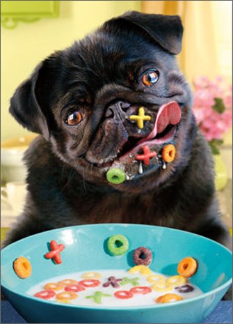 Unique Dog Alphabet Cereal Pop Up Valentine's Day Card - Perfect for Pet Lovers & Valentine's Gifts