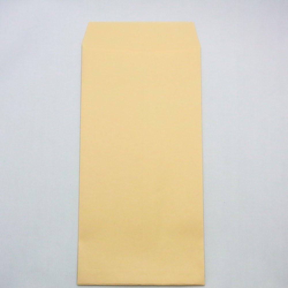 Marui PN-Z137 Long No. 3 Brown Kraft Envelopes with Mailing Frame - 100 Sheets for Mailing, Business Correspondence & Document Storage
