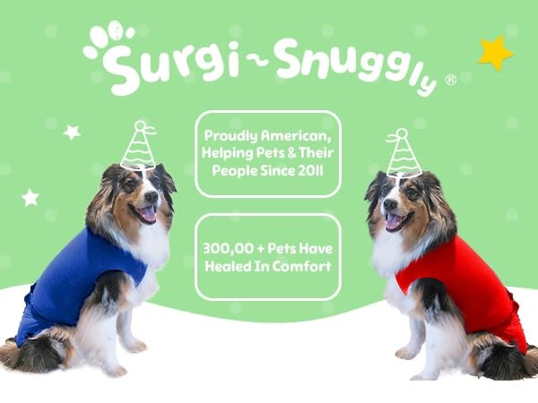 SurgiSnuggly Dog Surgery Recovery Suit - Post-Surgical Onesie for Spayed Female & Neutered Male Dogs (Sizes S/M/L) | Cone Alternative Pet Bodysuit in Pink | Ideal for Wound Protection & Comfort After Vet Procedures
