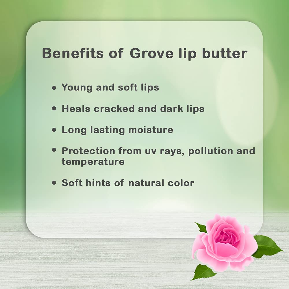 **Hydrating Lip Balm with Shea Butter, Coconut Oil & Vitamin E - Moisturizing Lip Care for Dry, Chapped Lips - Natural Lip Butter for Men & Women - 6g Stick (Wild Rose & Guava, Pack of 2) - Perfect for Daily Use, Travel & Gifts**