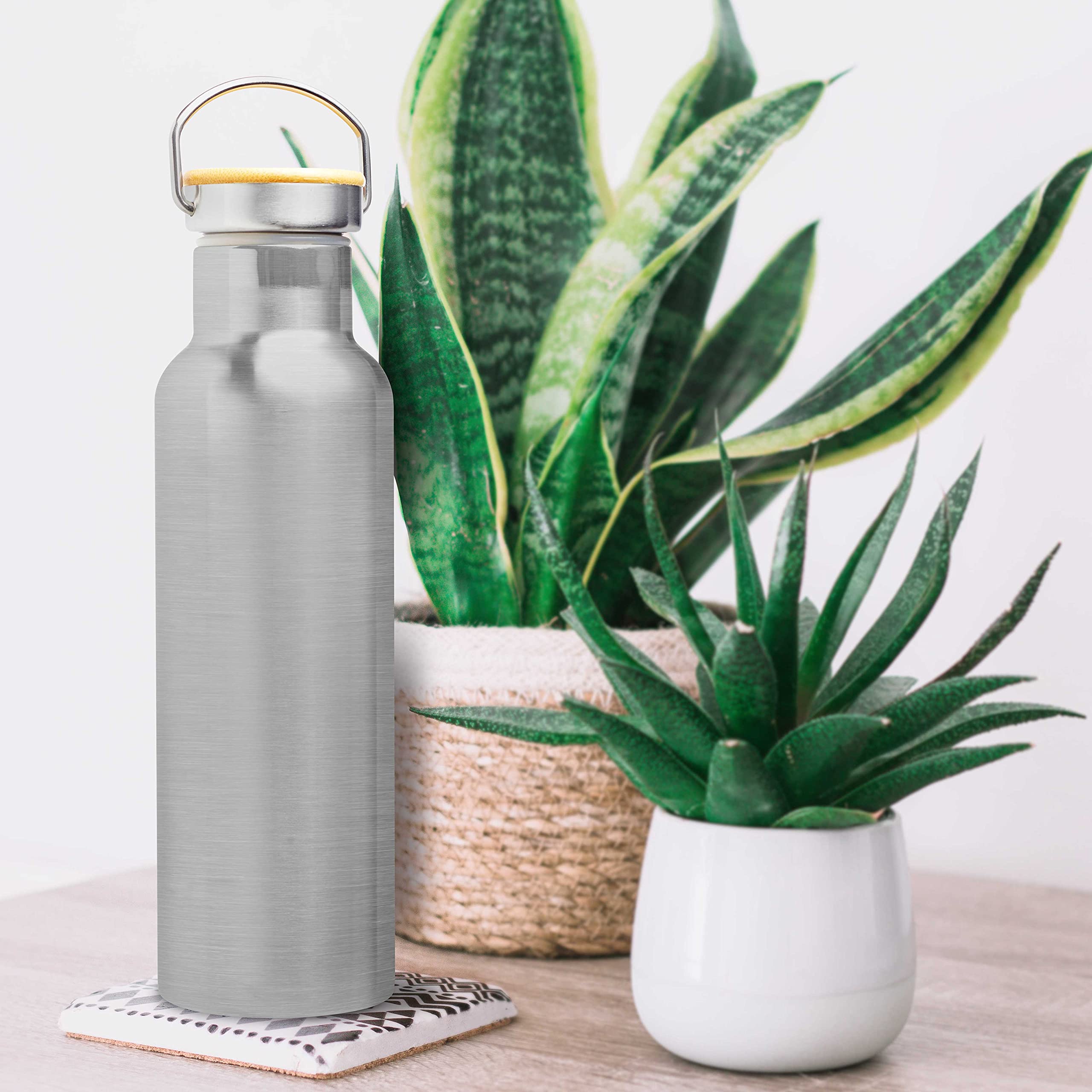 6-Pack Stainless Steel Water Bottles with Wooden Lid - 20oz Double Wall Insulated, BPA-Free, Leak Proof (Silver) - Perfect for Gym, Hiking, Office & Travel