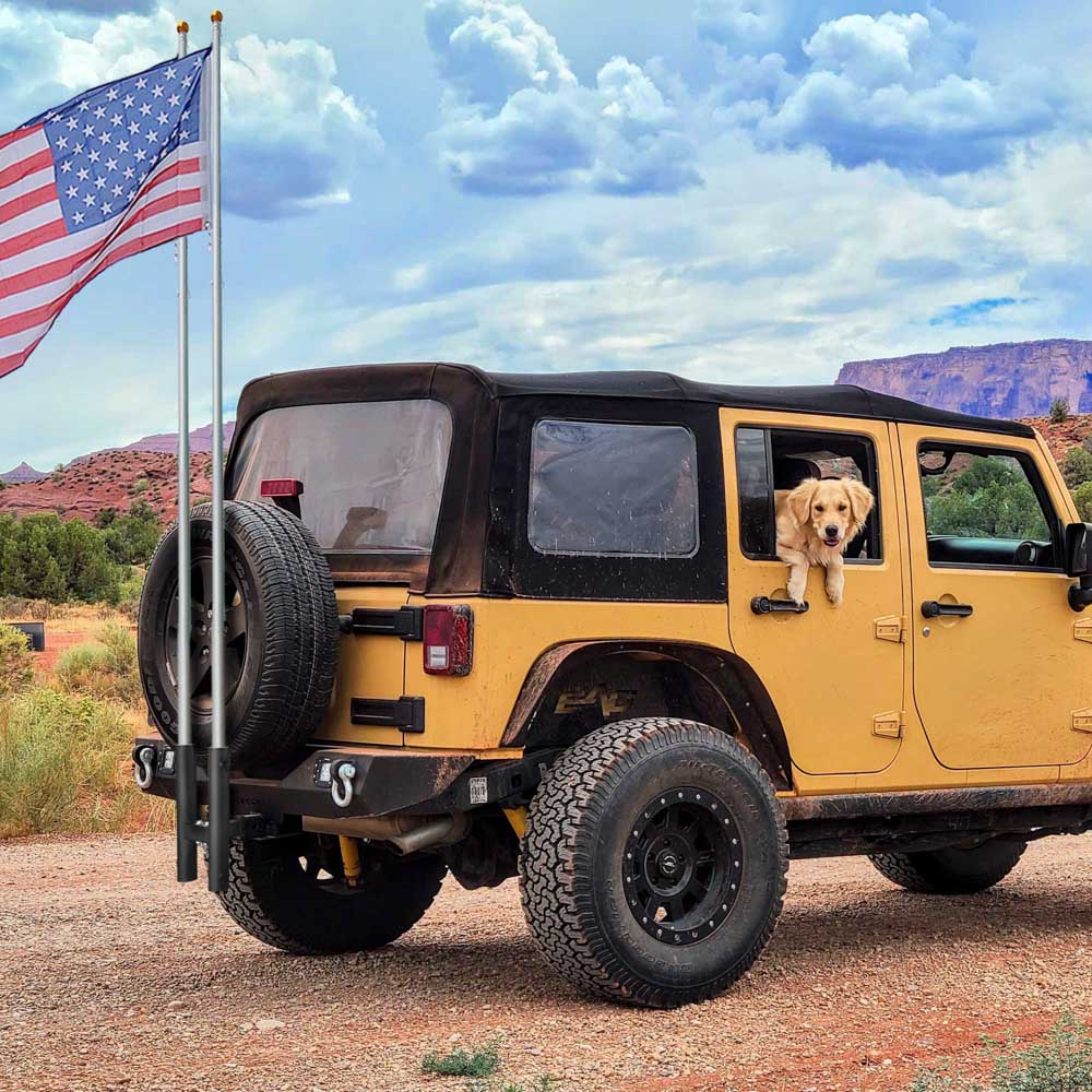 TheLAShop 2 Receiver Hitch Dual Flag Pole Holder - Heavy Duty 1 to 2 Pole Mount for Trucks & SUVs - Perfect for American Flags, Sports Flags & Tailgating Events