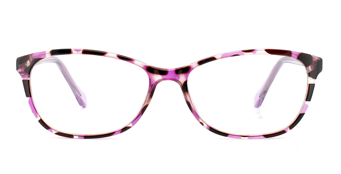Purple tortoise