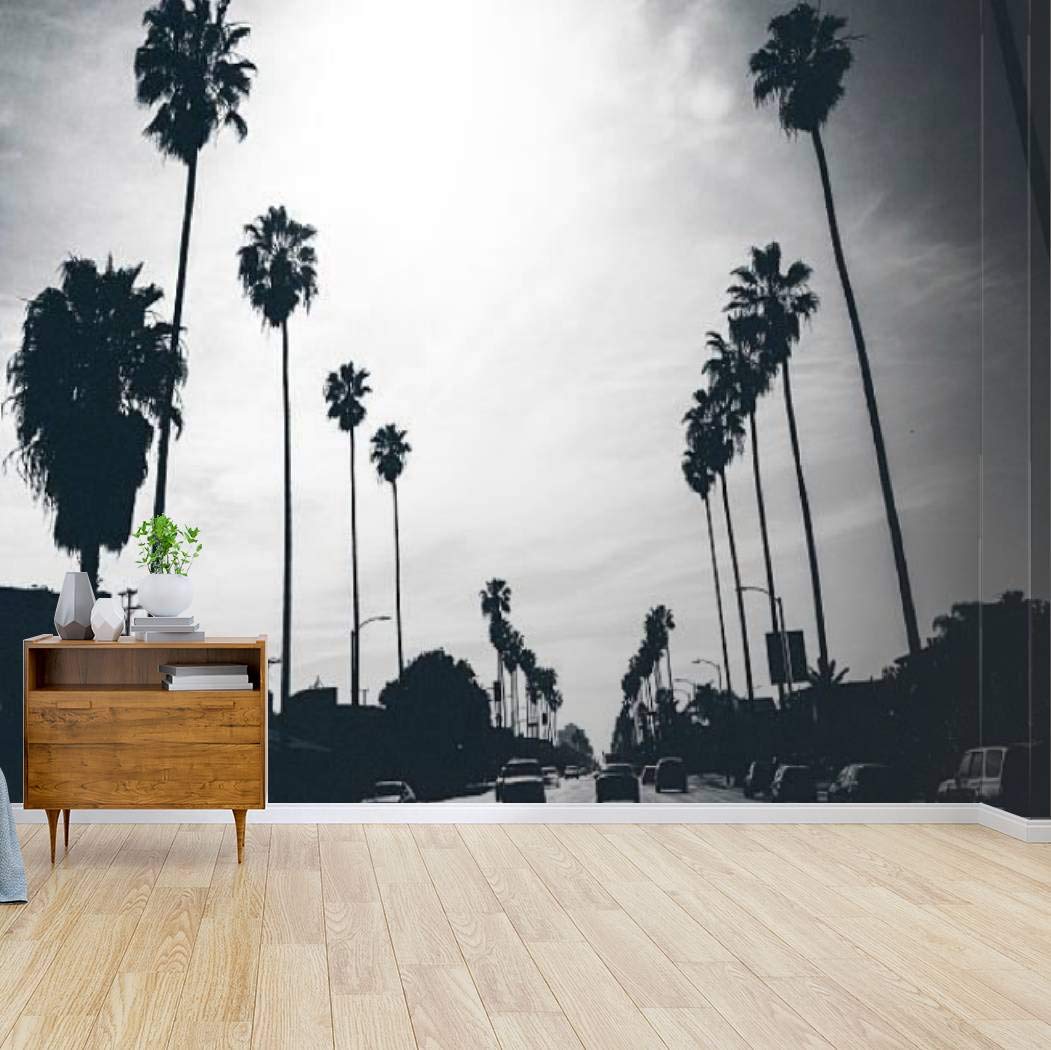 Los Angeles Streets Black and White Wall Mural - Peel and Stick Self-Adhesive Wallpaper, Large Removable Vinyl Film for Home Decor | Perfect for Living Rooms, Bedrooms & Offices