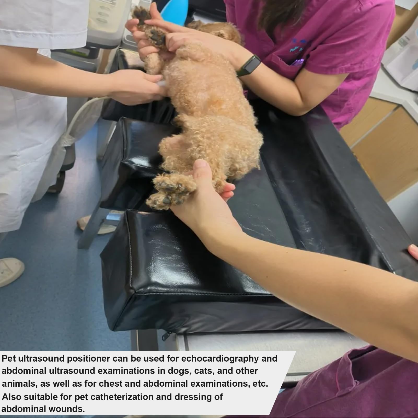 Veterinary Ultrasound Positioner with U Slot - Pet X-Ray Immobilizer Wedge Pad for Cat & Dog Echocardiography & Abdominal Diagnostics (30