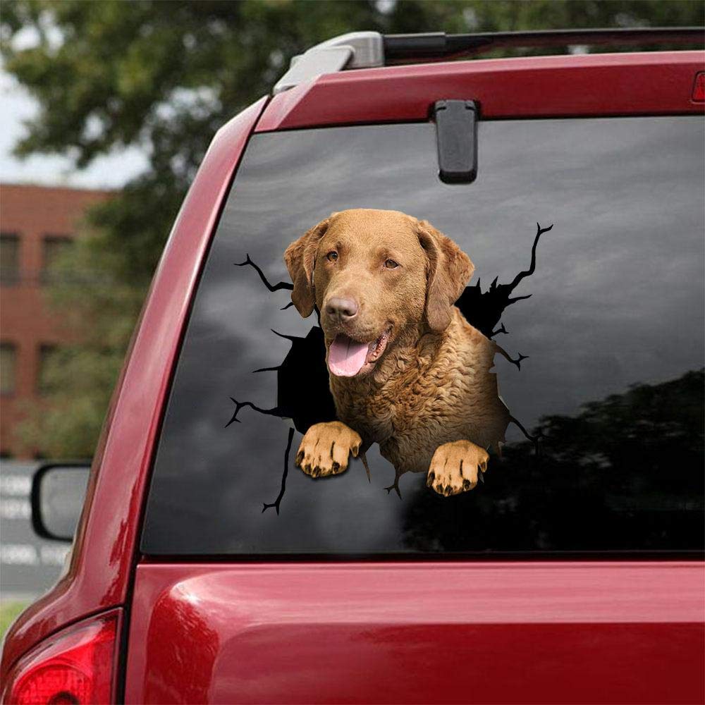 **Premium Chesapeake Bay Retriever Car Decals - Pack of 2 Realistic Dog Stickers for Windows & Walls (10