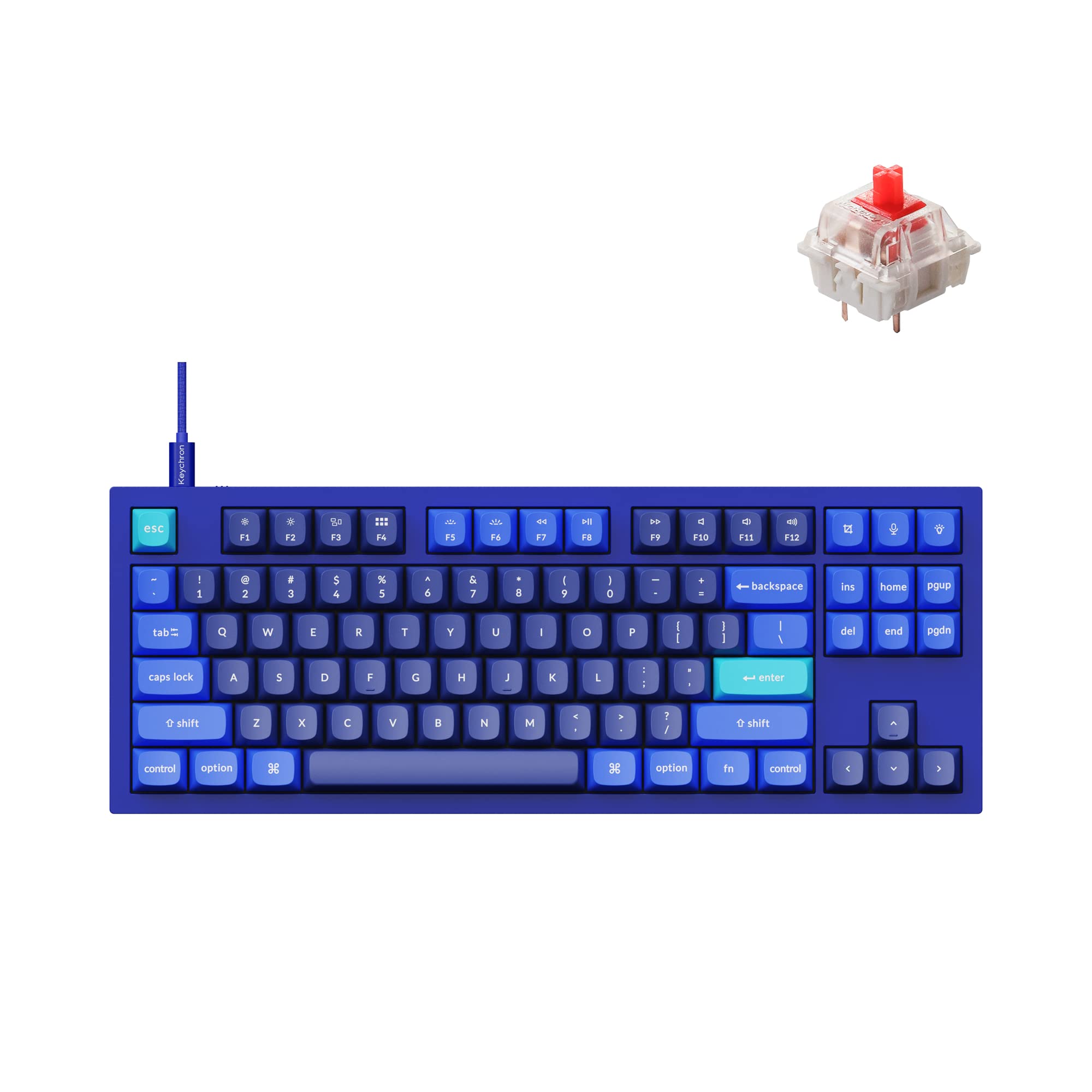 Keychron Q3 RGB Tenkeyless 87-Key Custom Mechanical Keyboard - Gateron G Pro Red Switch, Hot-Swappable, QMK/VIA Programmable, Double Gasket Design for Mac/Windows/Linux (Blue) | Perfect for Gaming, Coding & Office Work