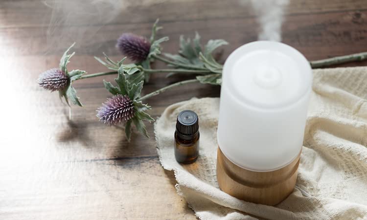 100% Pure Cilantro Essential Oil - Aromatherapy Grade, USDA Organic, 4 Fl Oz by Nature's Note Organics - Perfect for Diffusers, Massage & DIY Skincare