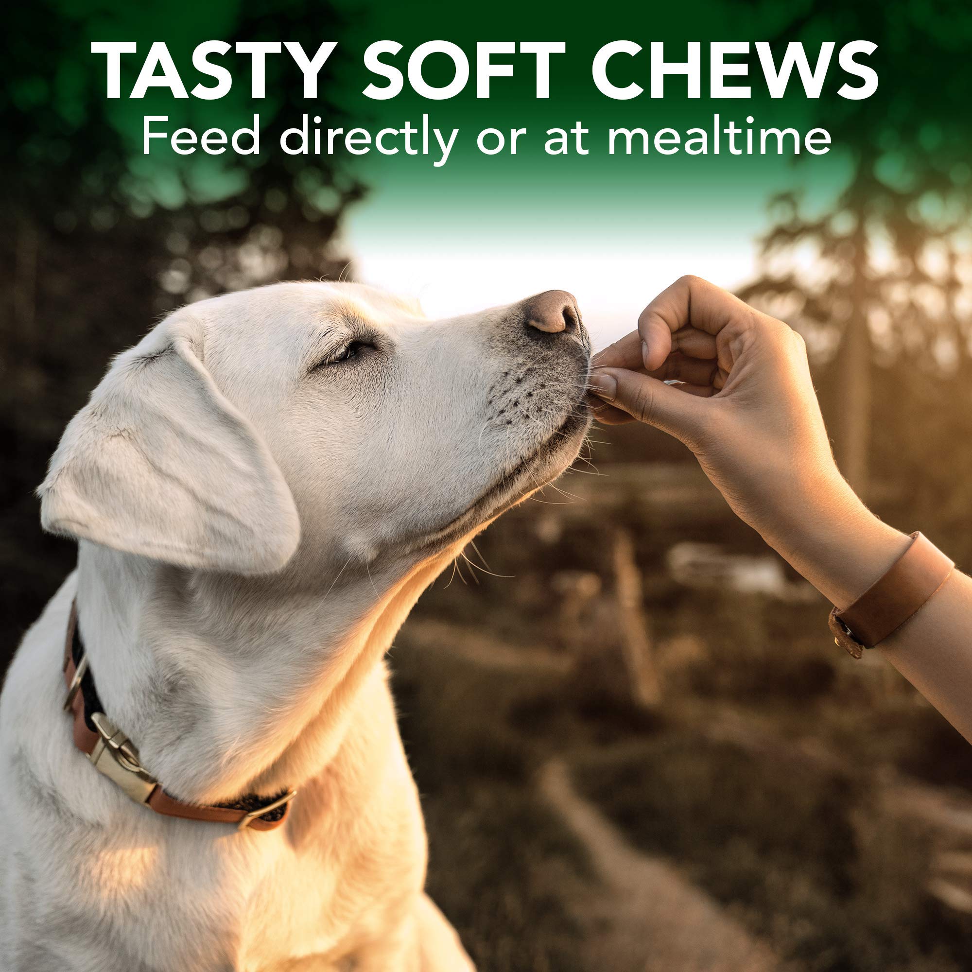 Vet's Best Seasonal Allergy Soft Chew Dog Supplements for Itchy Skin Relief - Supports Healthy Histamine Levels - 90-Day Supply for Medium to Large Dogs - Perfect for Outdoor Activities and Allergy Season Comfort