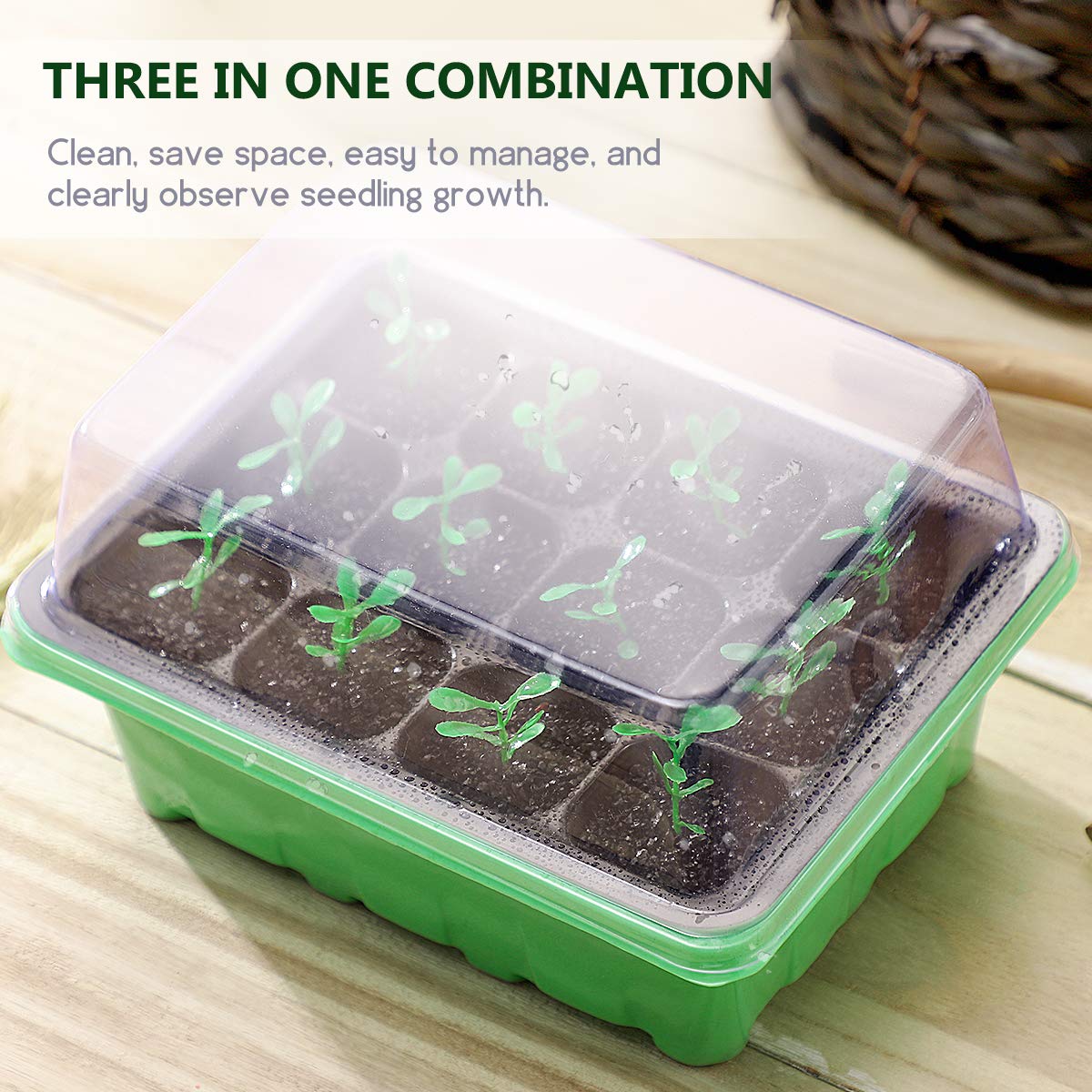 10 PCS Seed Starter Trays with Dome - 12 Cells Plant Nursery Pots for Gardening, Bonsai, Vegetables & Flowers - 7 x 5.5 x 2.4 Inch Green Germination Kit (Perfect for Indoor Seed Starting & Greenhouse Growing)
