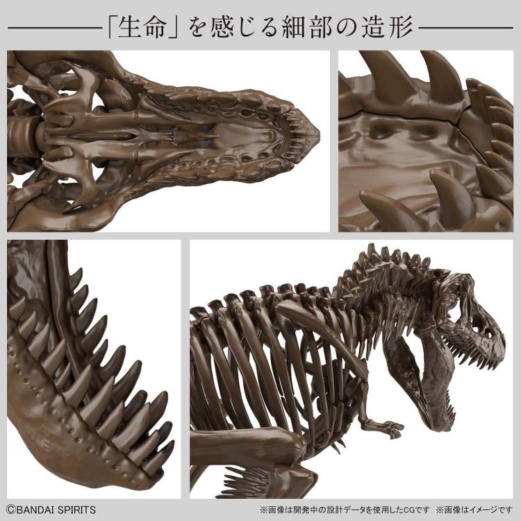 Bandai 1/32 Imaginary Skeleton Tyrannosaurus Dinosaur Model Kit - Premium Collectible for Dinosaur Enthusiasts, Perfect for Display, Gifts & Educational Scenes