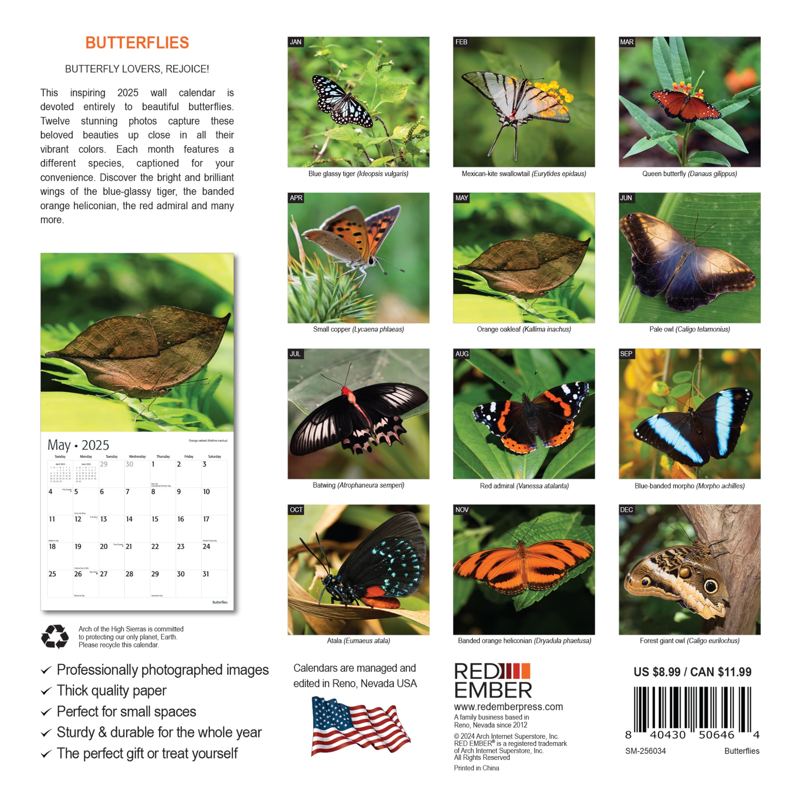 RED EMBER Butterflies Mini 2025 Wall Calendar - 12 Month 7