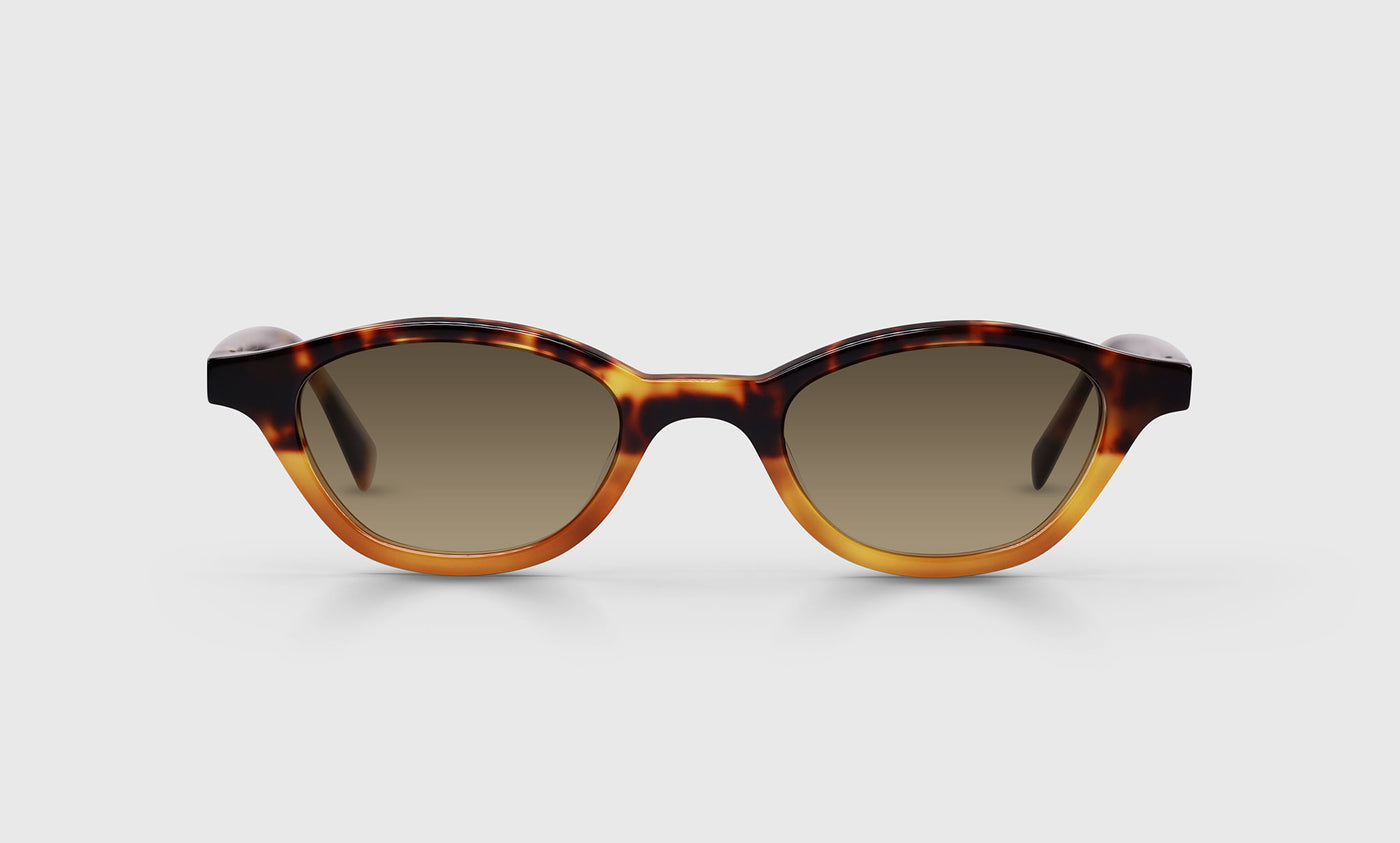 Pickwick Color 19 Tortoise to Amber Fade Front and Temples - Stylish Eyeglass Frames for Men & Women | Perfect for Reading, Work, and Everyday Fashion Accessories