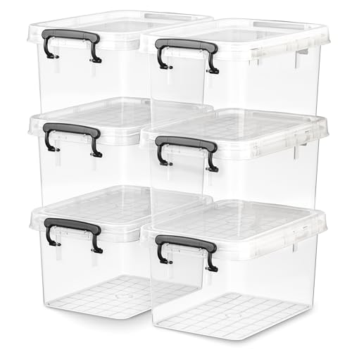 Clear Case with Black Handle