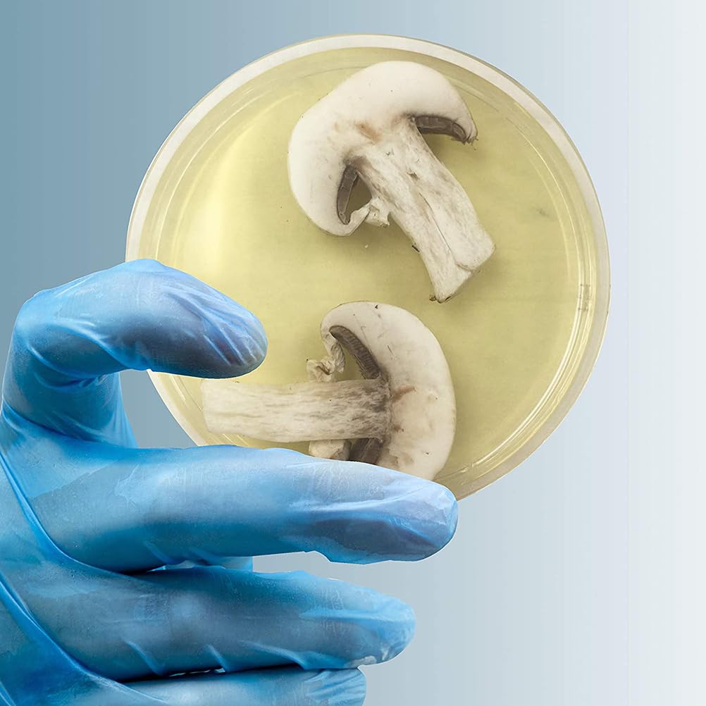 10-Pack 100mm x 30mm Plastic Petri Dishes with Nutrient Agar - Sterile Lab-Grade Petri Plates for Science Projects, Microbiology Cultures & Laboratory Sample Analysis - Ideal for School Labs, Home Science Experiments & Research Studies